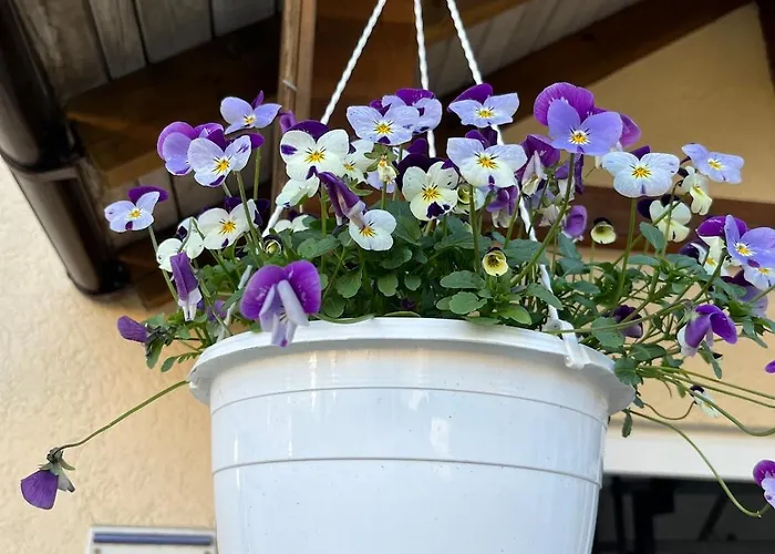 Сasa de vacaciones Berg *